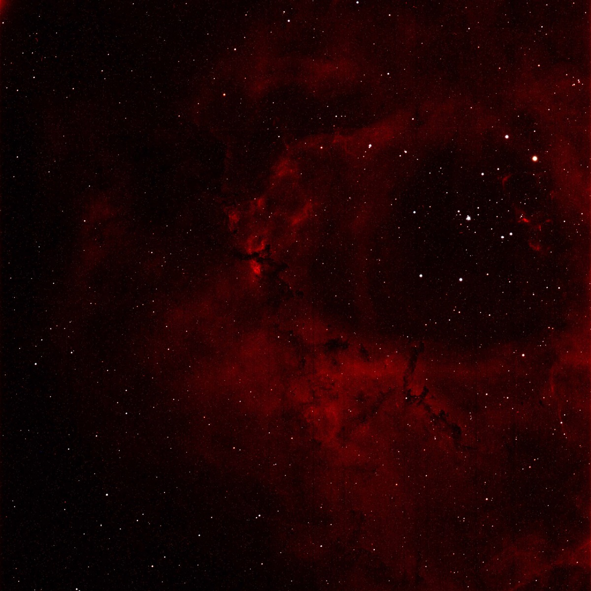 nebula 1