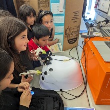 A little girl participates during a youth health advocacy event at SUA