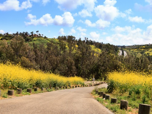 Stock image of Aliso Viejo