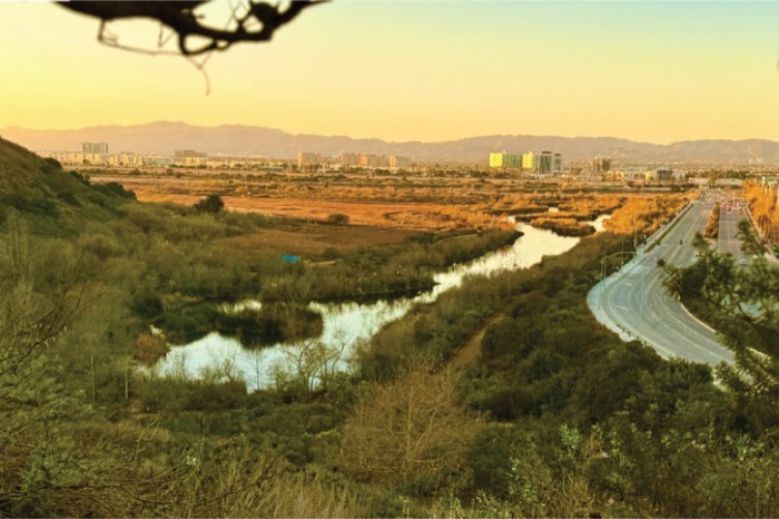 Ballona is the last remnant of Los Angeles' once vast wetlands, now a 600-acre degraded reserve.