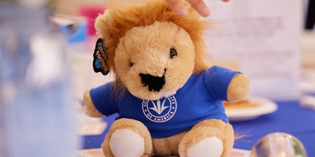 A mini Leo the Lion stuffed animal