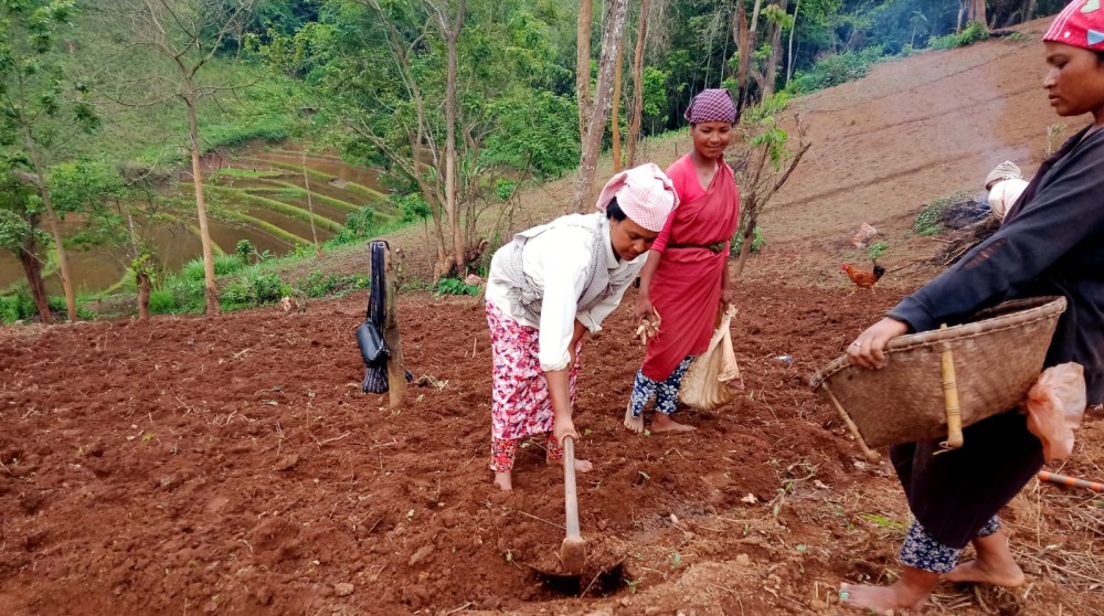 Farmers work the soil on the farm.