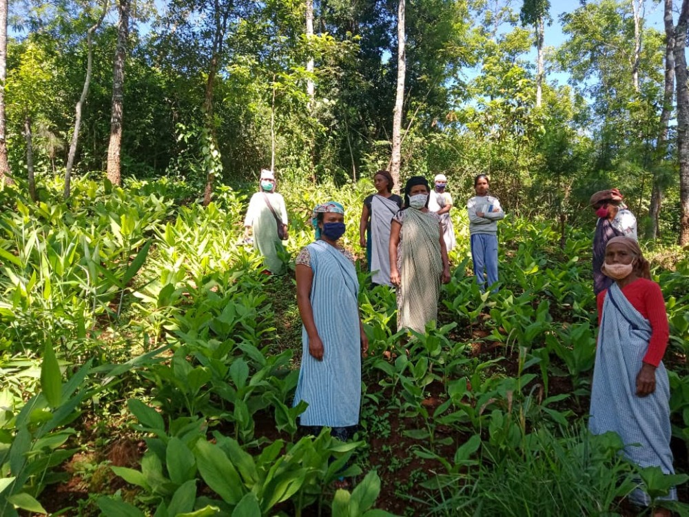 Multiple farmers stand among vegetation.