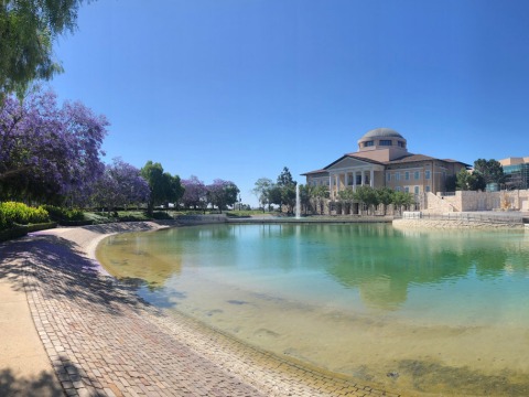 A photo of Founders Hall taken across Peace Lake surrounded by flowering purple trees