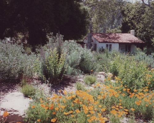 Various flowers and plants grow at the Botanical Center